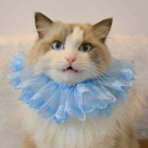 Pet costume ruffle collar for cats and small dogs in baby blue