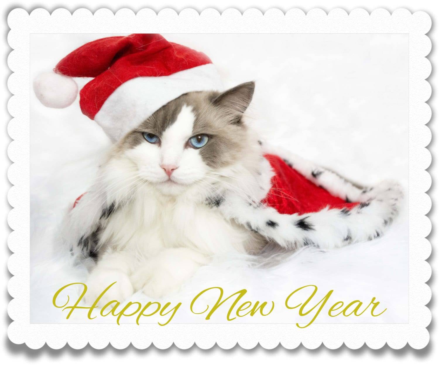 Happy New Year Cat e-Card – Download