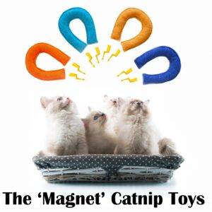 Magnet catnip toy, Unique catnip cat toy, felt cat toy filled with fresh catnip, kitten toys, gift for cat – Crafts4Cats