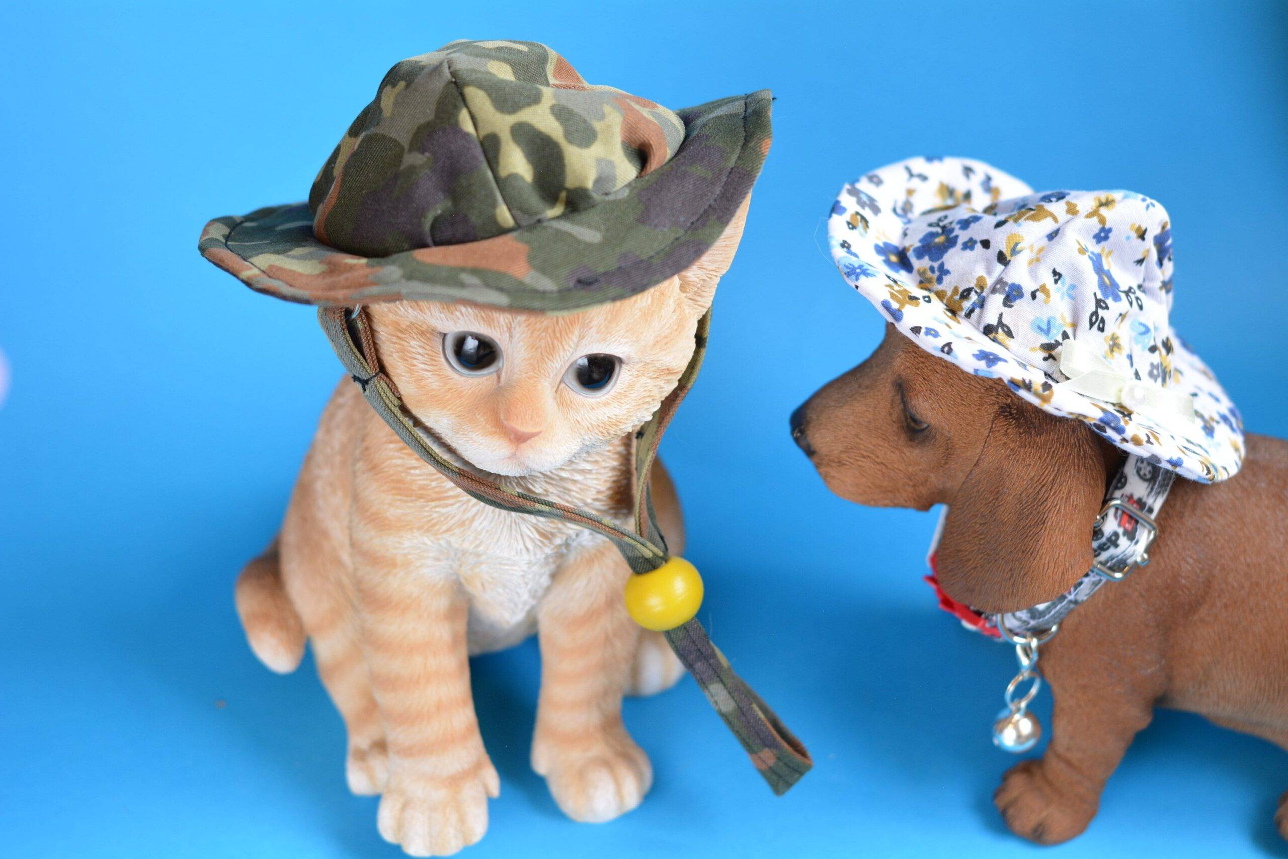 Mini hats for cats and small dogs – made to order