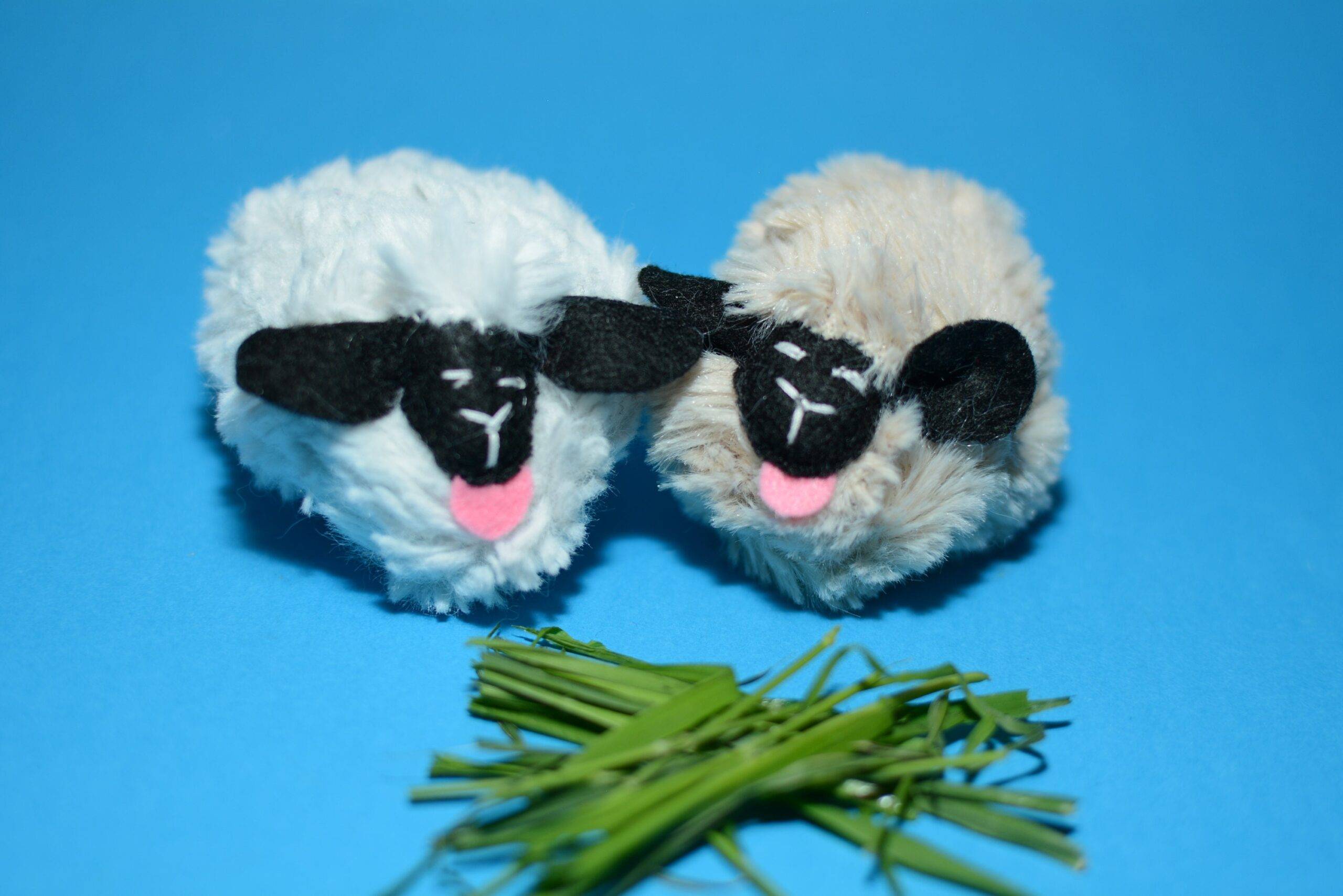 Sheep catnip toys for cats – gifts for pets cats, catnip toy, cute cat toys, Crafts4cats