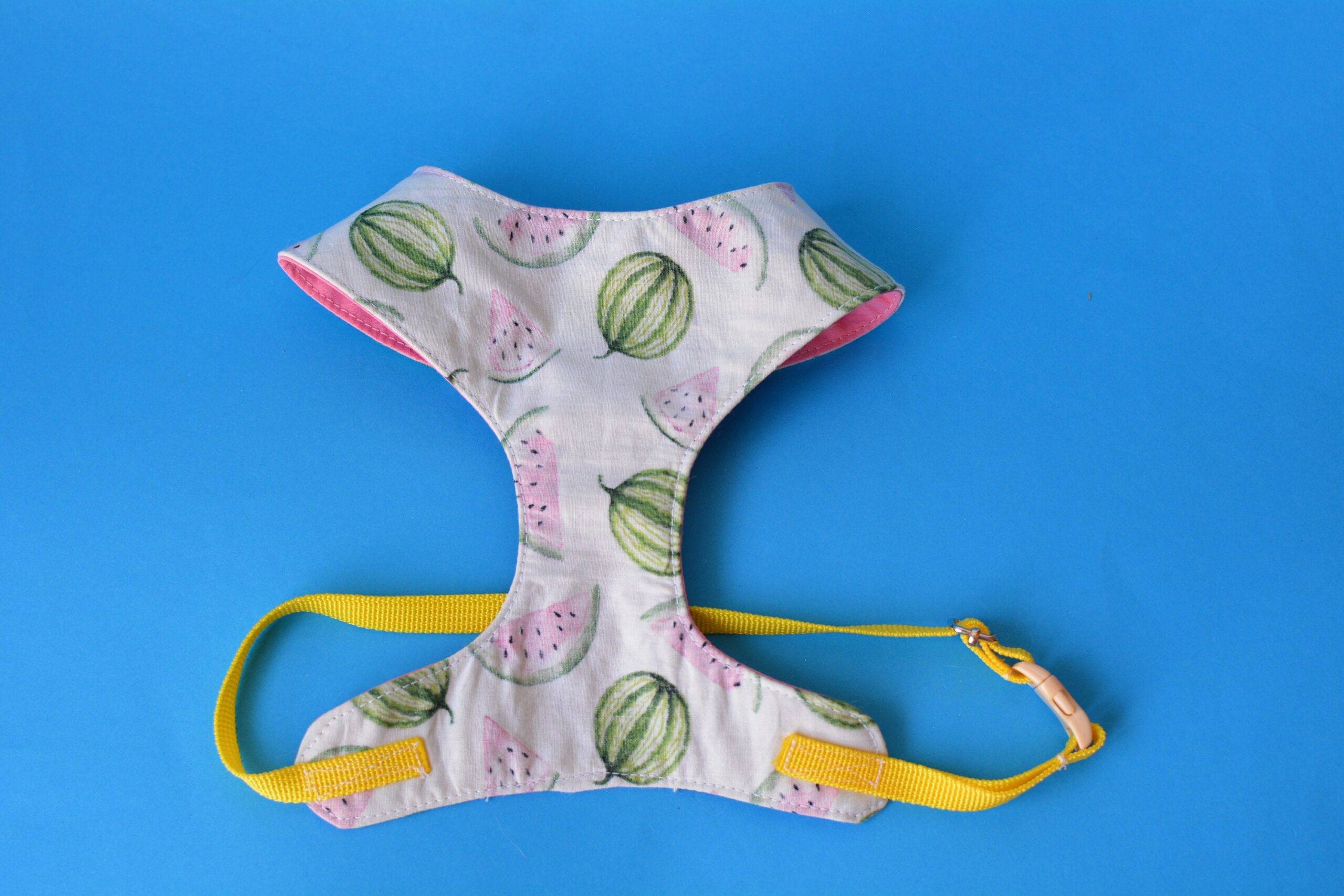 Watermelon – summer harness jacket for cat or dog – costume for pet