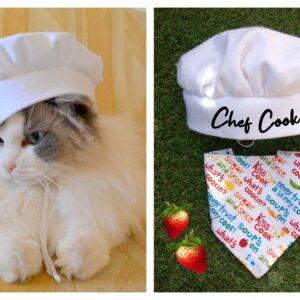 Chef hat, bandana & collar costume for cat and dog