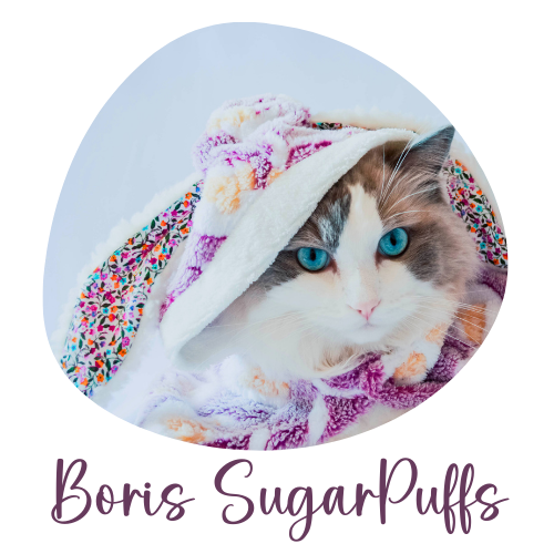 About Boris SugarPuffs Crafts4Cats