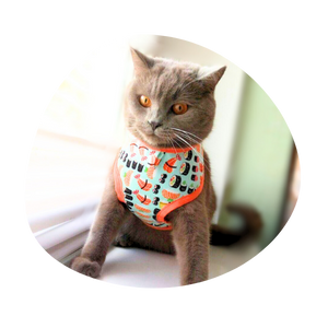 Crafts4Cats clothing and walking jackets