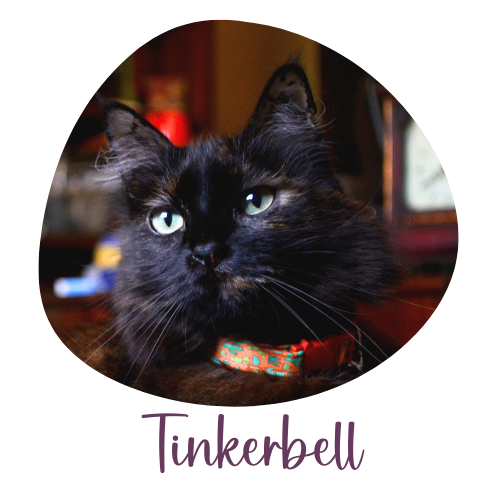 Tinkerbell Crafts4Cats