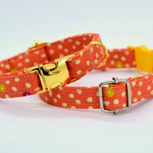 Orange collar for cats + dogs with bell non-breakaway metal buckle