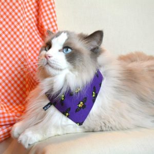 Adorable bat bandanas for stylish cats and small dogs.