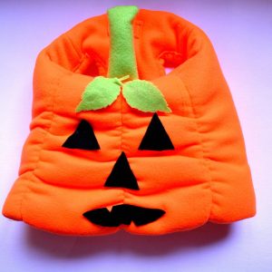 Dog costume ‘Pumpkin’ jacket // Puffy jacket for dogs,small dog costume, pet costume handmade costume by Crafts4Cats