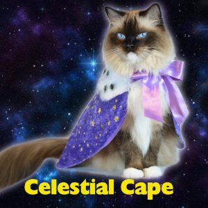 Costume for cats ‘Celestial Cape’ purple/red/white in golden stars, Christmas cloak, pet costumes, costume for small dog, starry night