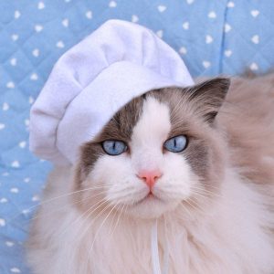 Custom Chef Cook Hat for cat or dog / cute hats for dogs / hats for cats / cute hats / pet costume / handmade by Crafts4Cats