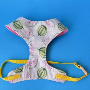 Watermelon – summer harness jacket for cat or dog – costume for pet